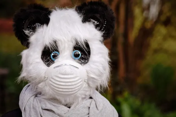 Thunderbolt Casino Ënnerstëtzung